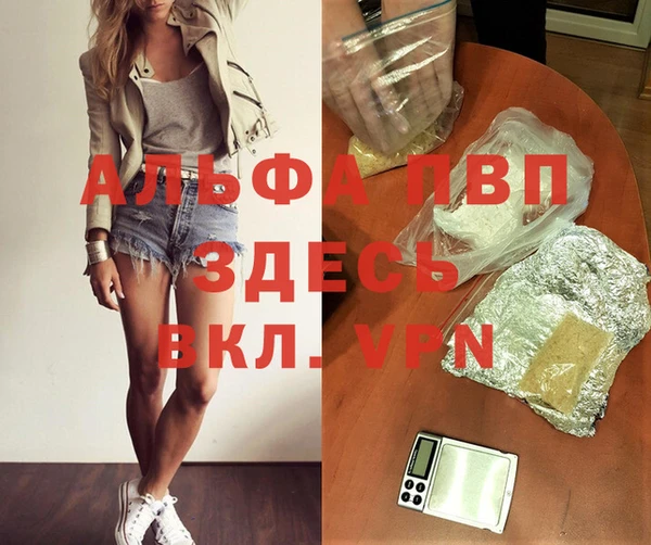 ГАЛЛЮЦИНОГЕННЫЕ ГРИБЫ Вязьма