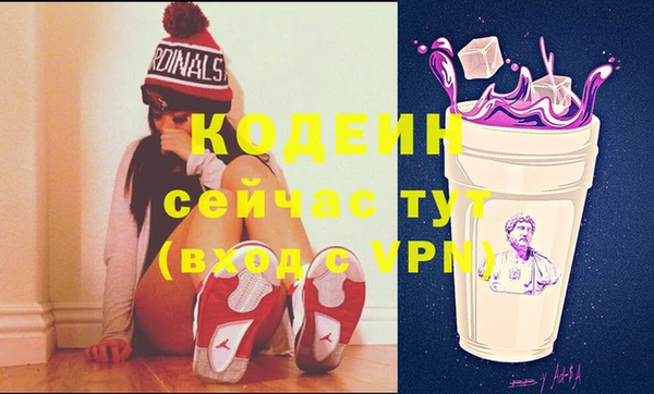 apvp Вяземский