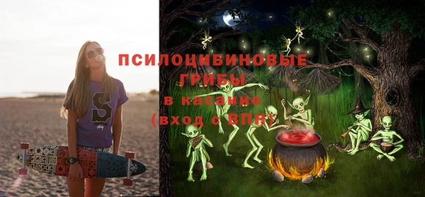 гидра Горняк