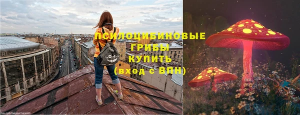 стафф Абаза